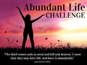 Abundant Life Challenge John 10:10