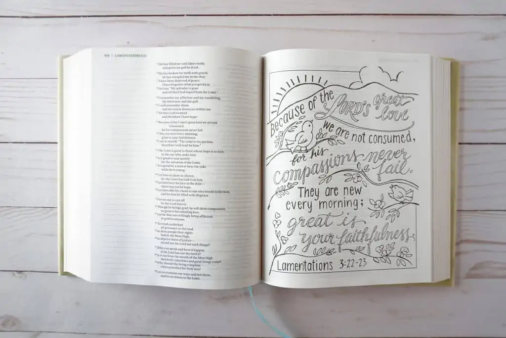 Beautiful Word Coloring Bible - Lamentations 3:23