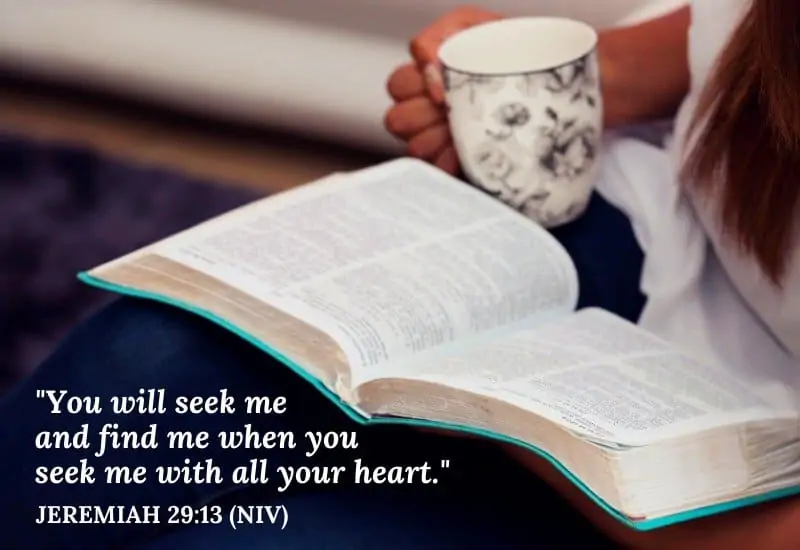 seek God with your whole heart